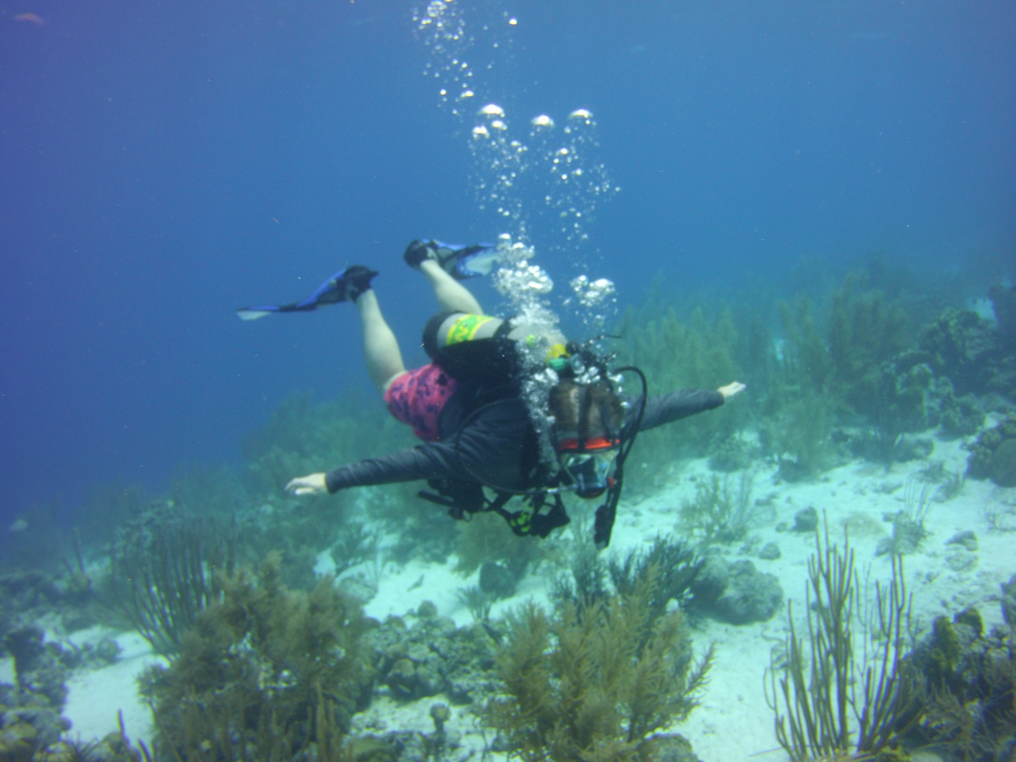 Simon, Isla Mujeres